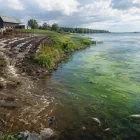 как животновъдството замърсява водата how livestock farming pollutes water