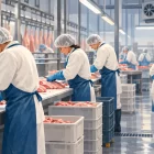Скритата цена на евтиното месо The Hidden Cost of Cheap Meat